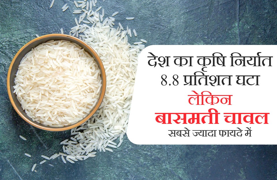 देश का कृषि निर्यात 8.8 प्रतिशत घटा, लेकिन बासमती चावल सबसे ज्यादा फायदे में, पढ़ें khetivyapar की ये रिपोर्ट